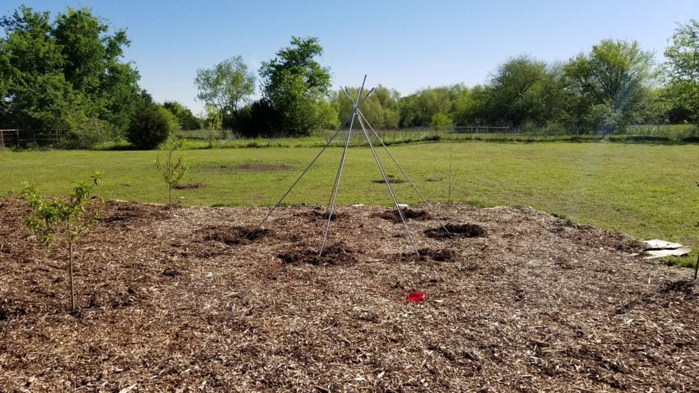 20180426_094936.jpg