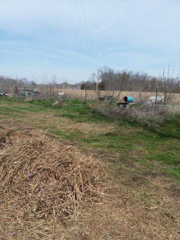 20180426_105811.jpg