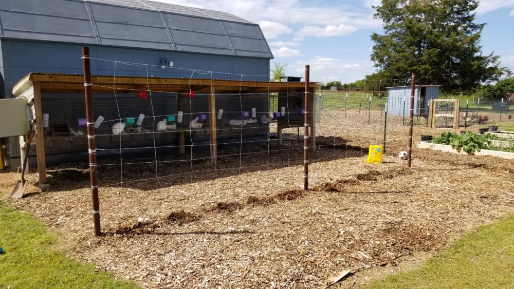 20180426_155717.jpg