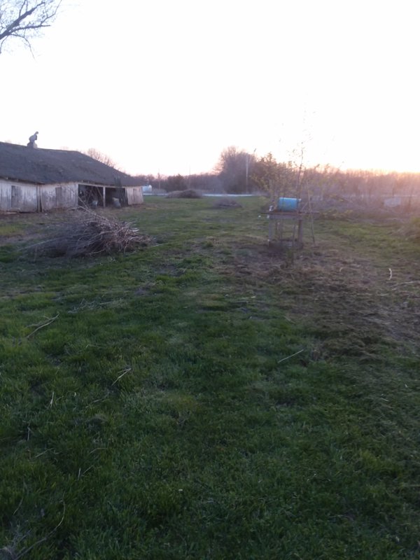 20180429_195234.jpg