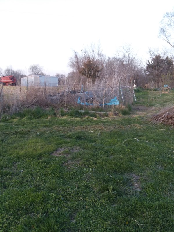 20180429_195318.jpg
