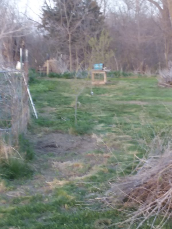 20180429_195329.jpg