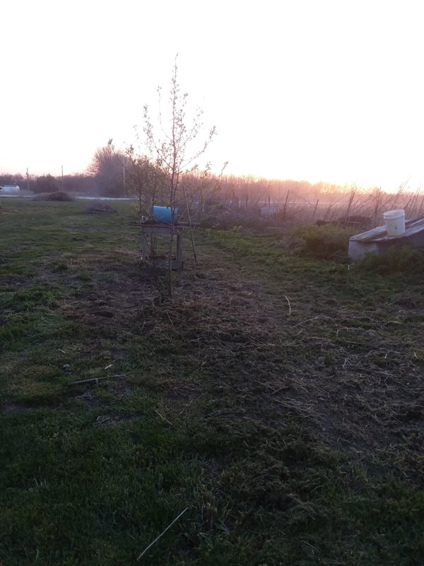 20180429_195449.jpg