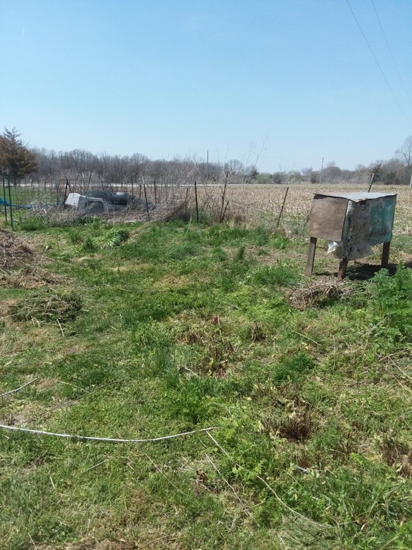 20180430_134127.jpg