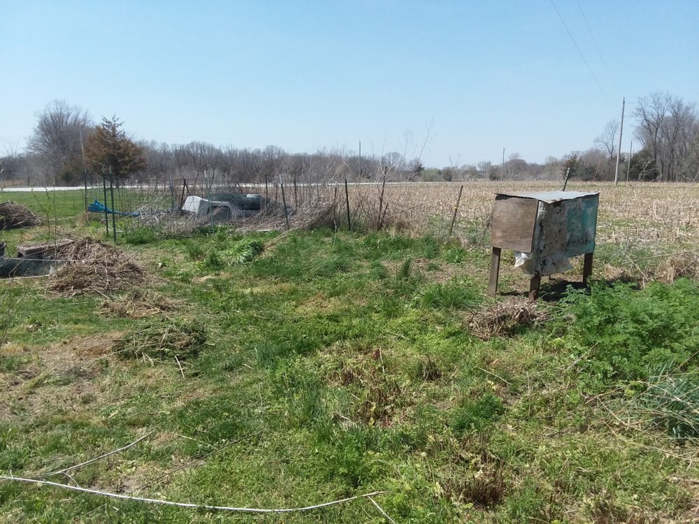 20180430_134139.jpg