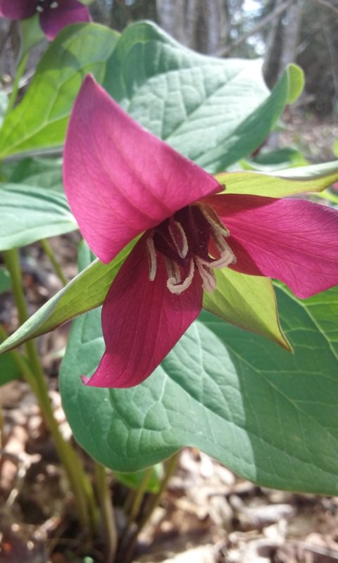 20180511_160159.jpg