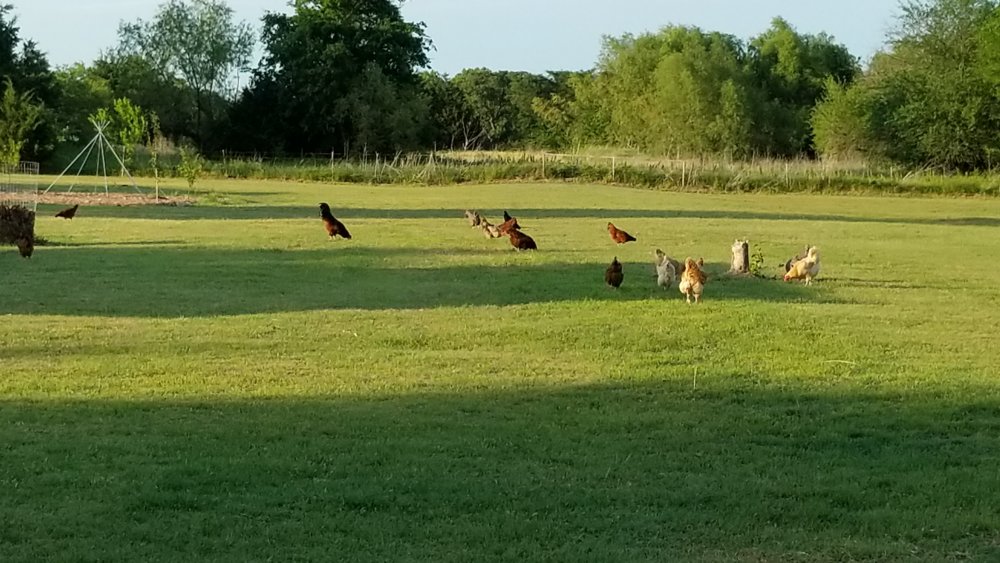 20180515_191530.jpg