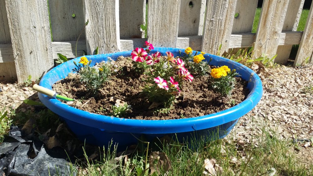 20180520_102433.jpg