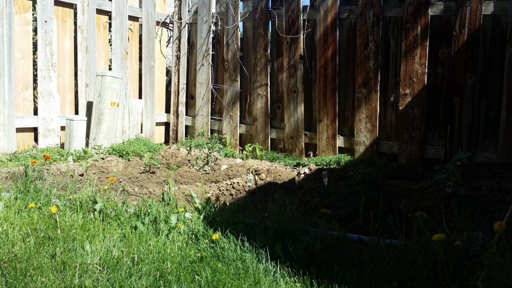 20180520_102504.jpg