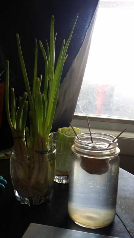 20180520_102630.jpg