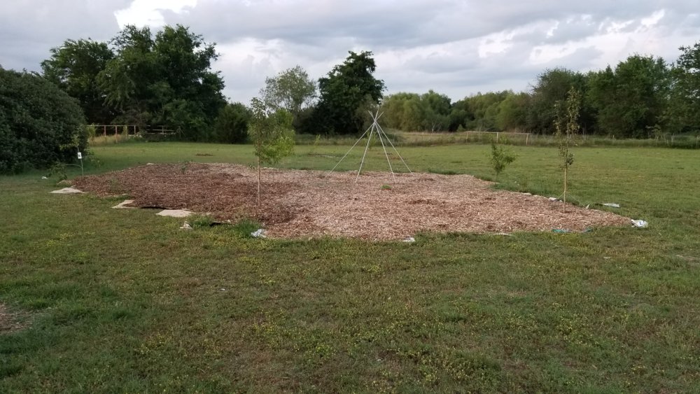 20180522_201921.jpg