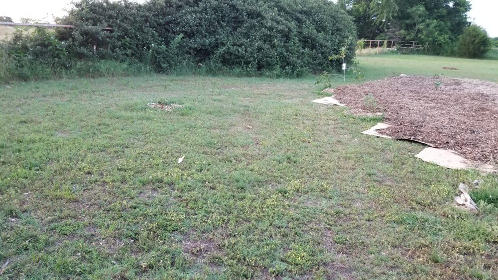 20180522_201929.jpg