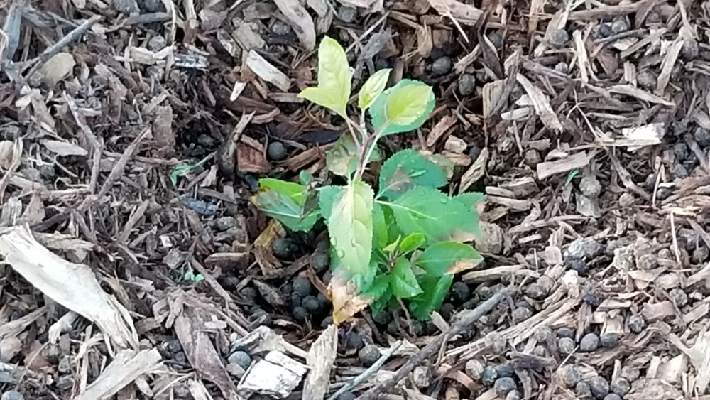 20180522_202033.jpg