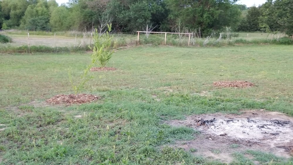 20180522_202040.jpg