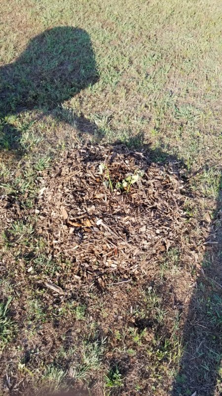20180529_183243.jpg