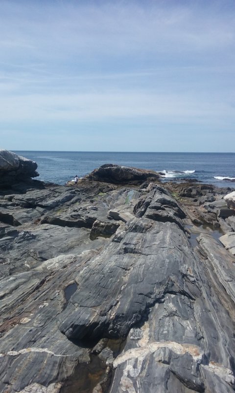 20180609_103727.jpg