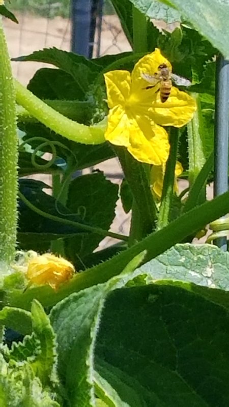 20180609_120333.jpg