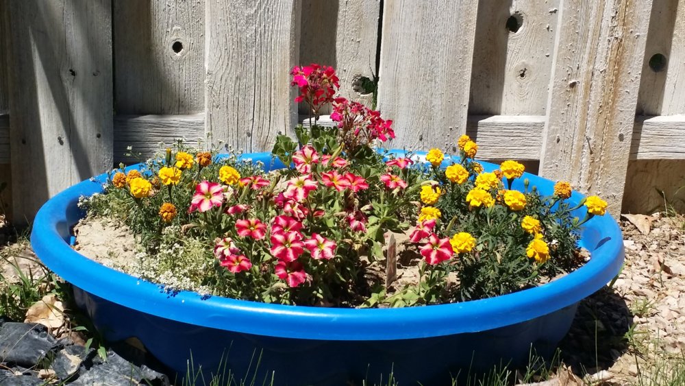20180701_143853.jpg