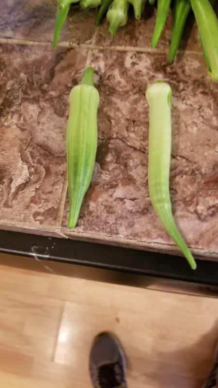 20180714_185509.jpg