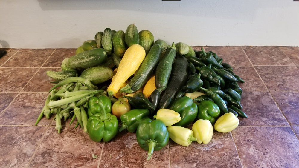 20180714_185905.jpg