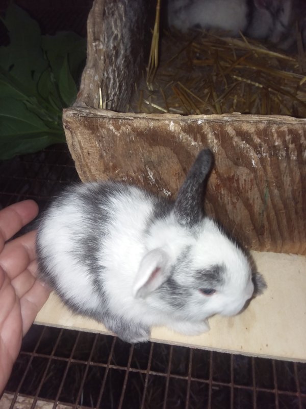 20180716_092634.jpg