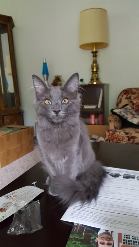 20180722_091037.jpg