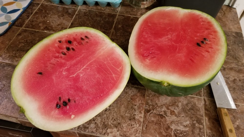 20180807_205233.jpg