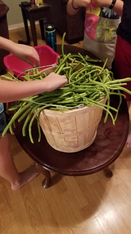 20180819_194500.jpg