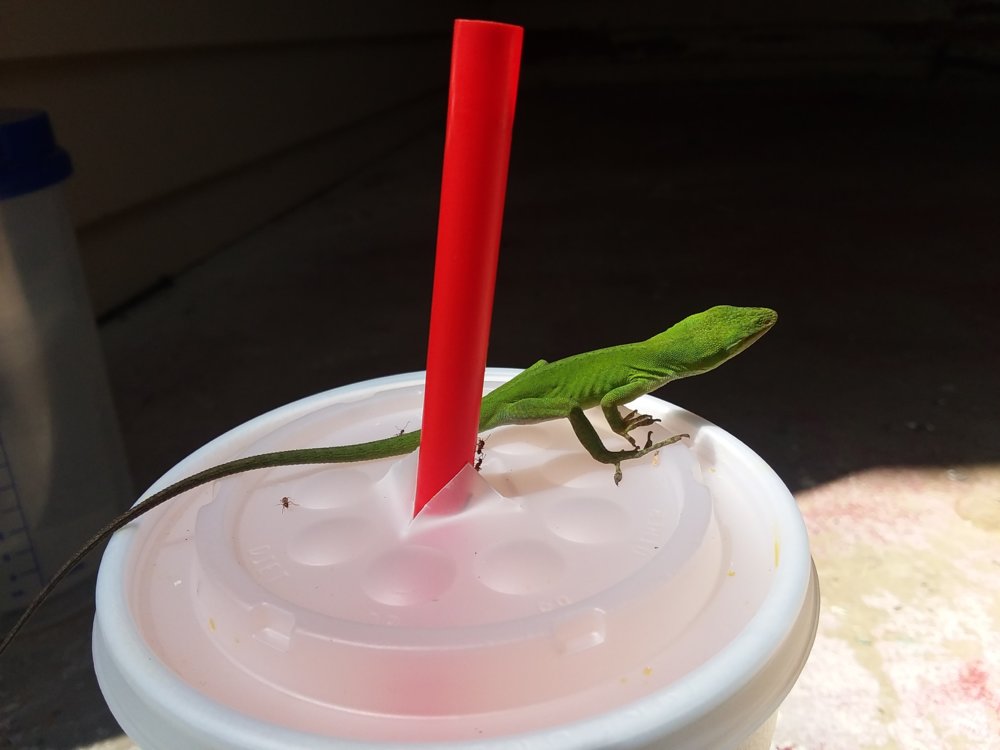 20180829_114504.jpg