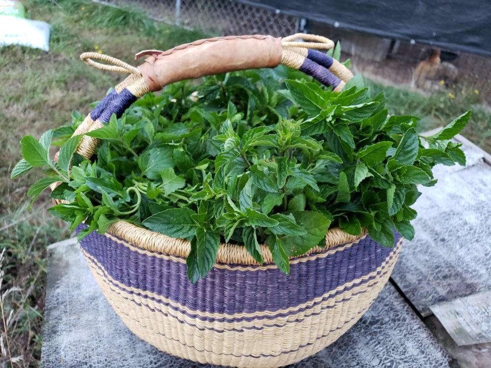 20180913_192319.jpg