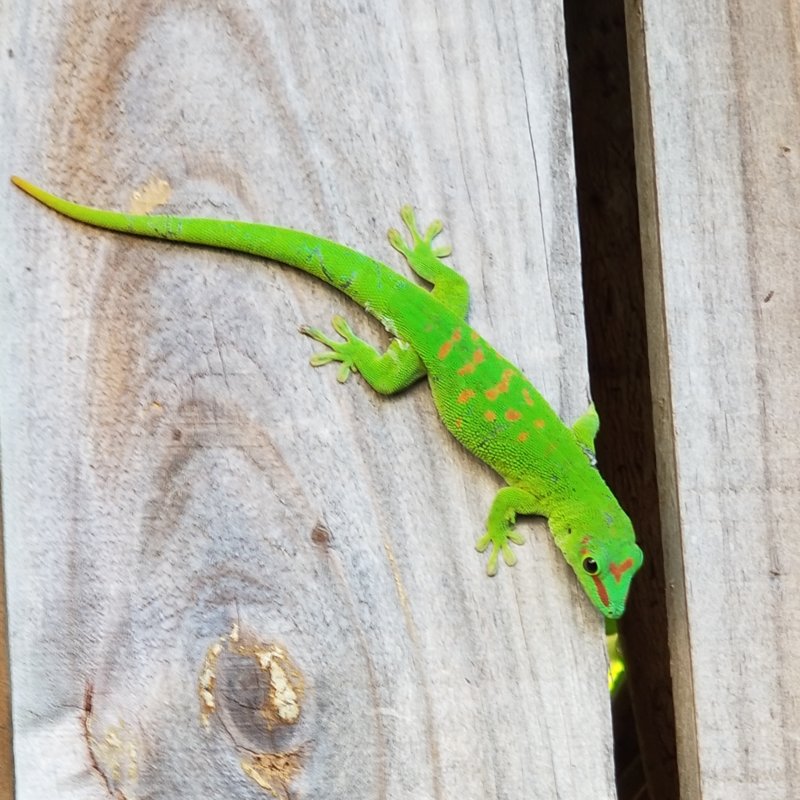 20180921_105743.jpg