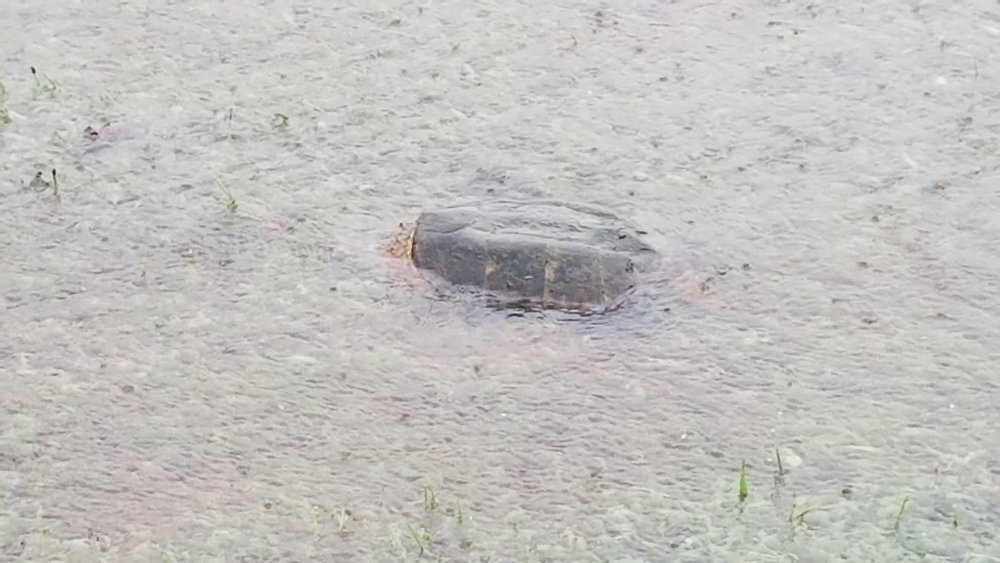 20180922_170626.jpg