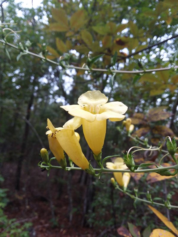 20180929_075757.jpg