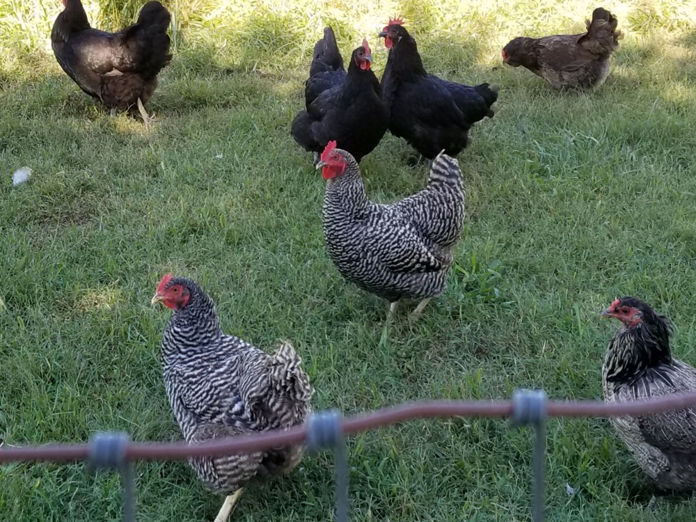 20180930_140331.jpg