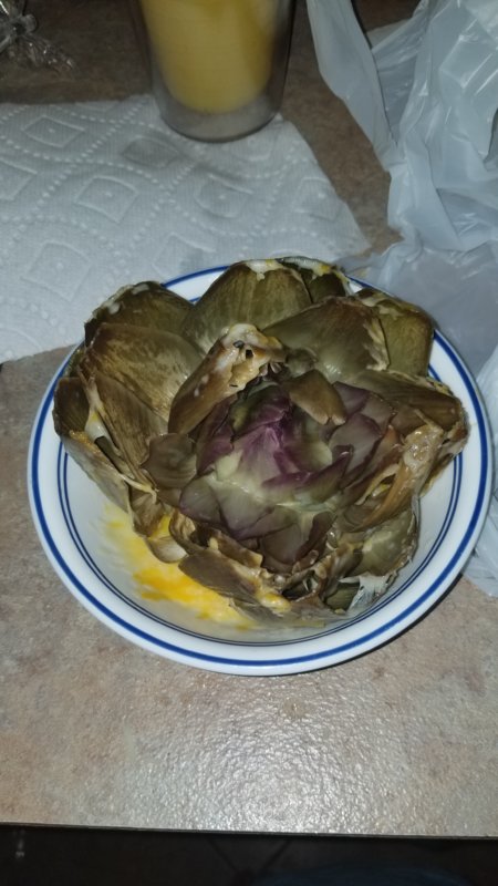 20181002_203348.jpg