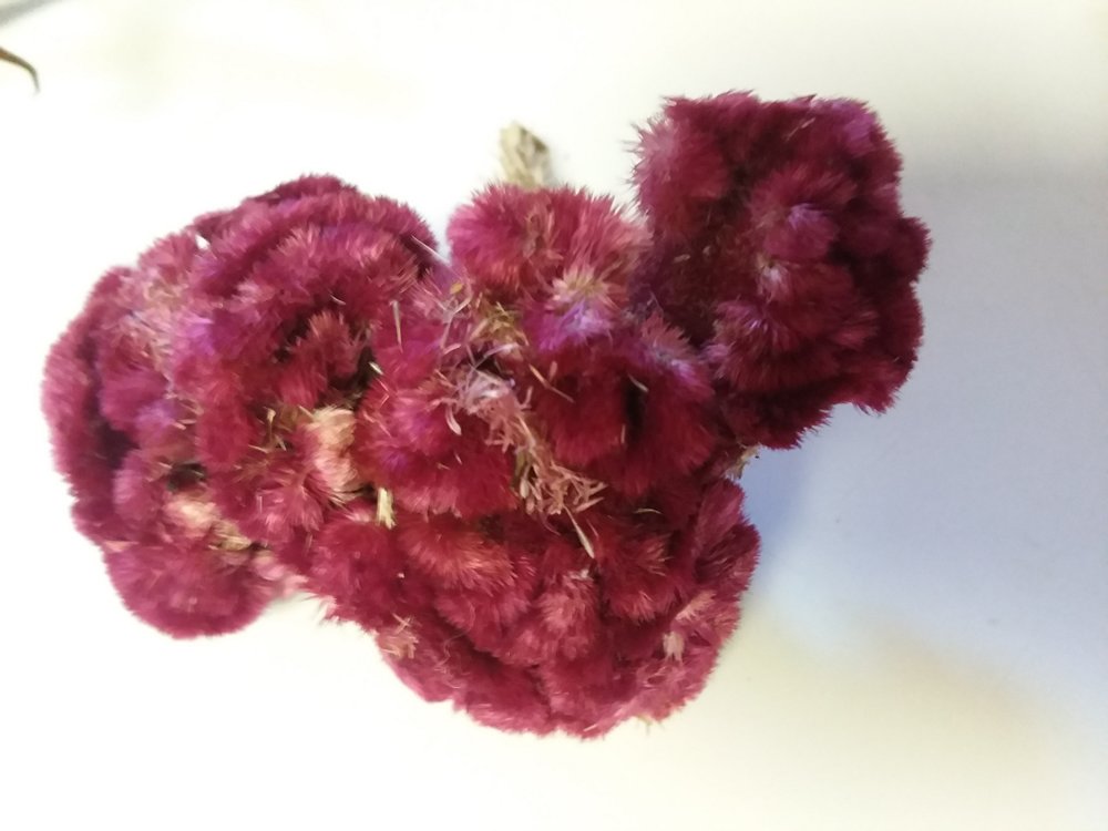20181007_082347.jpg