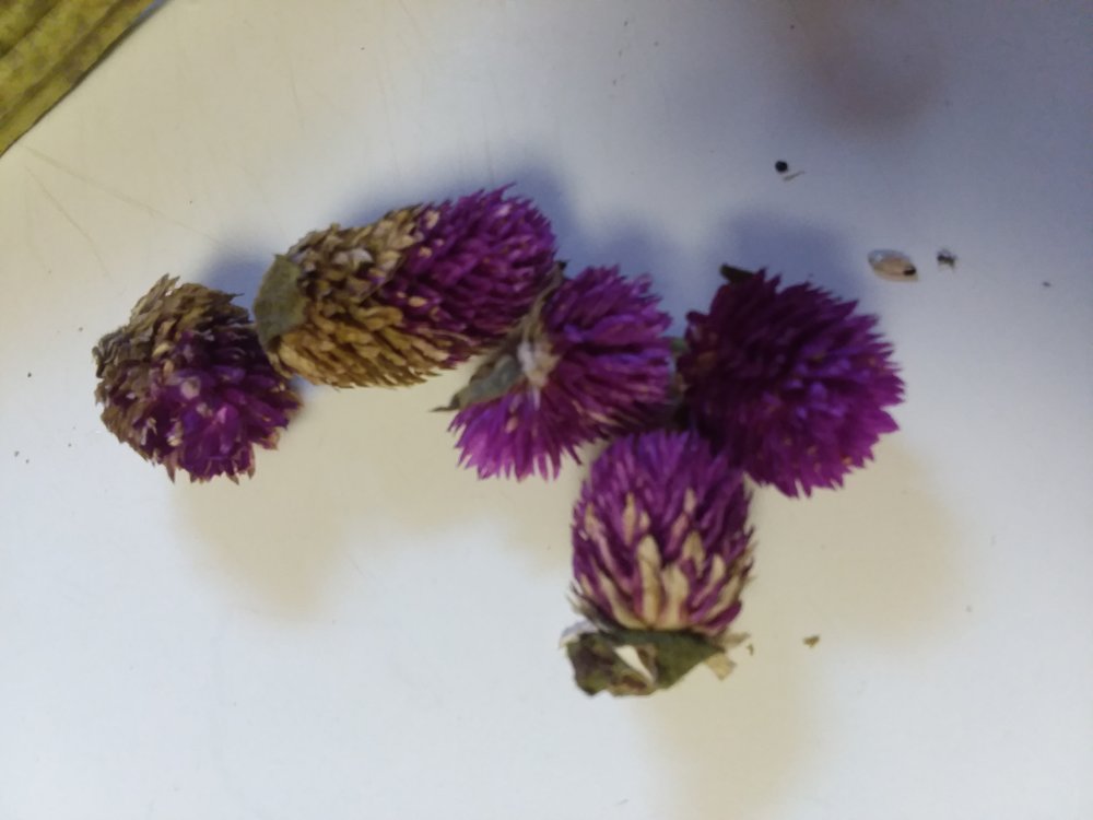 20181007_082424.jpg