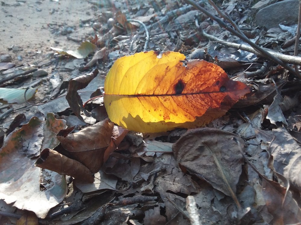 20181008_075917.jpg
