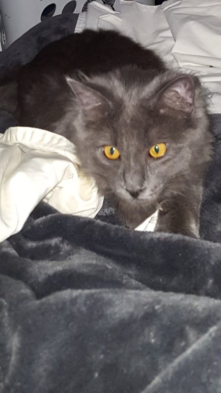 20181013_084657.jpg