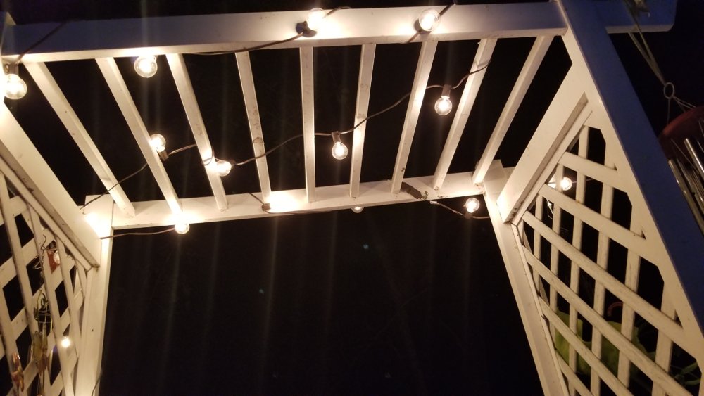 20181015_204506.jpg