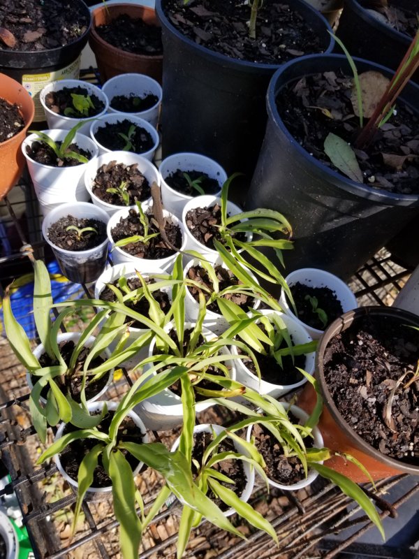 20181029_115038.jpg