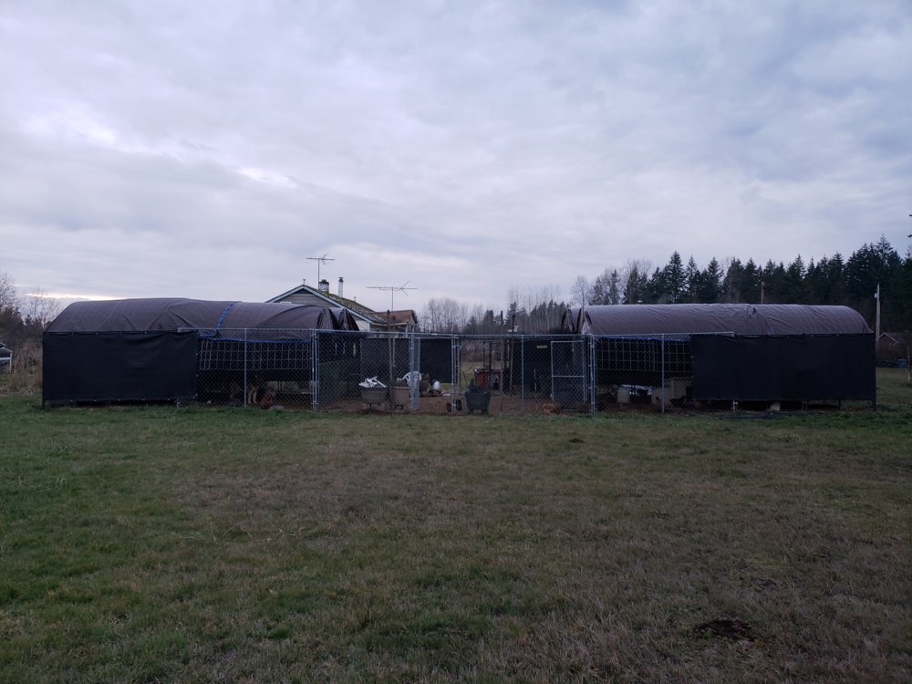 20181207_161741.jpg