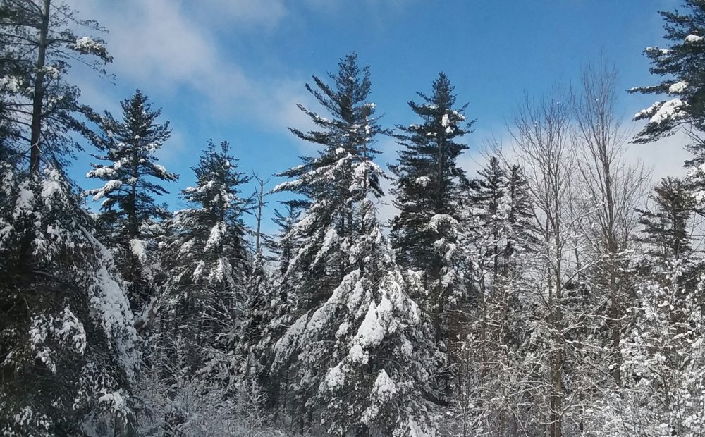 20190111_122209.jpg