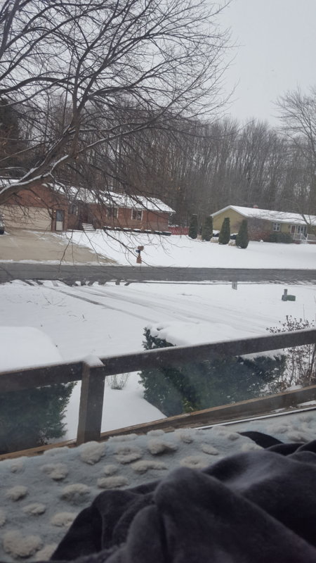 20190119_104103.jpg