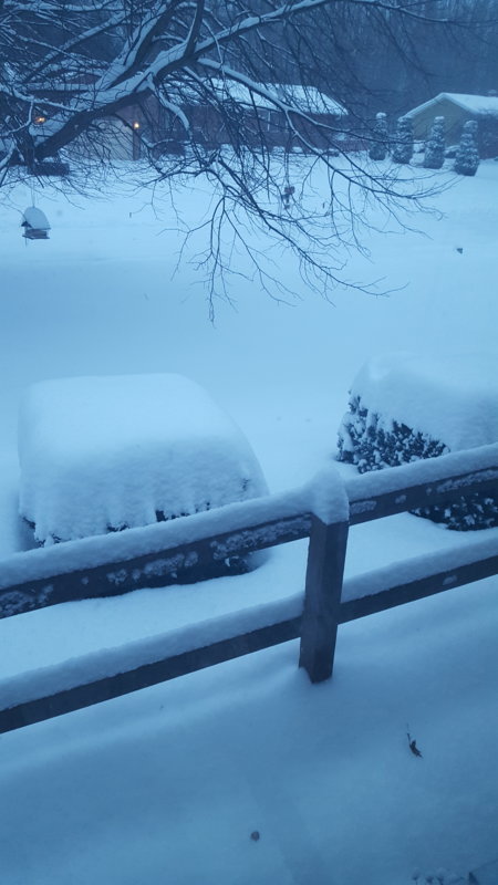 20190120_074914.jpg
