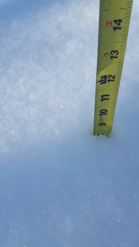 20190120_092342_006.jpg