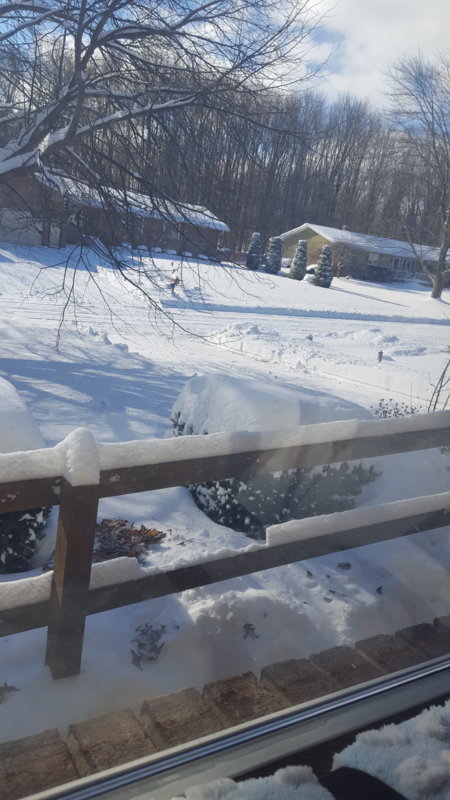 20190120_111325.jpg