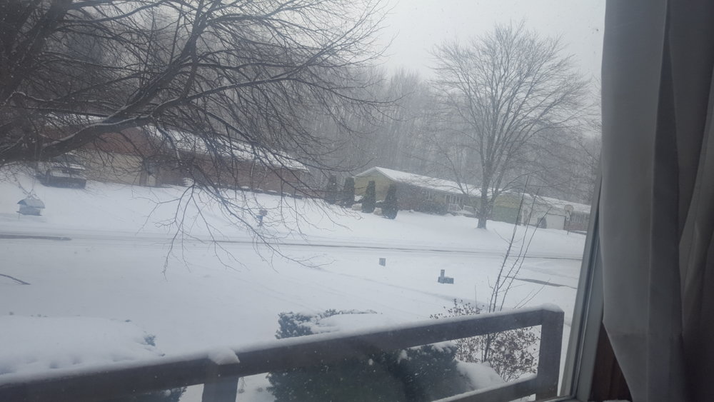 20190126_140519.jpg