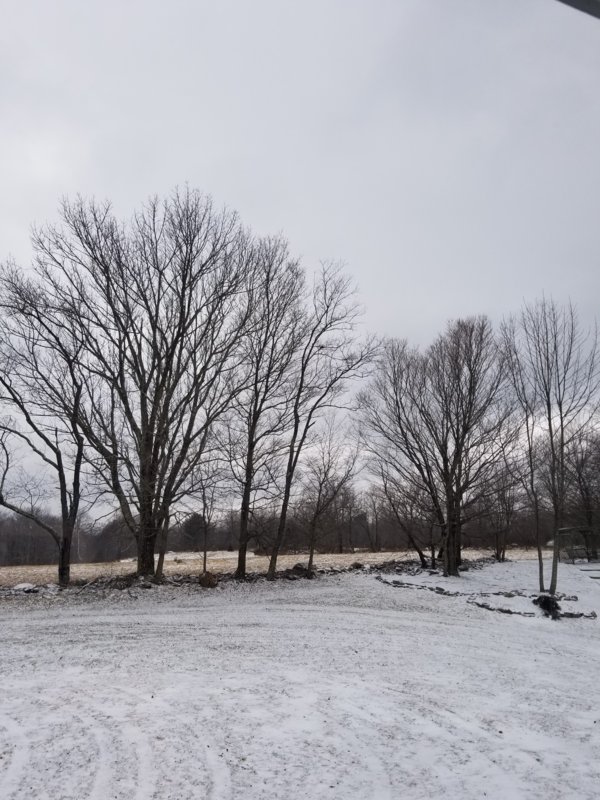 20190129_095807.jpg