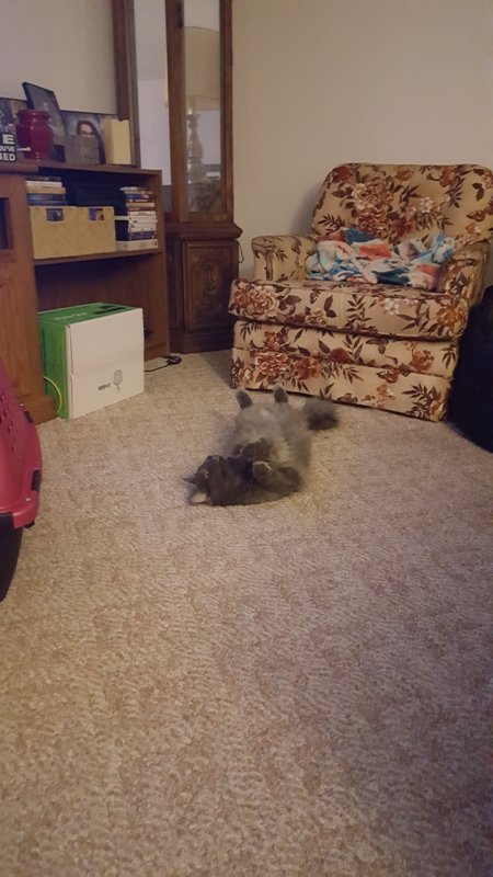 20190130_211322.jpg